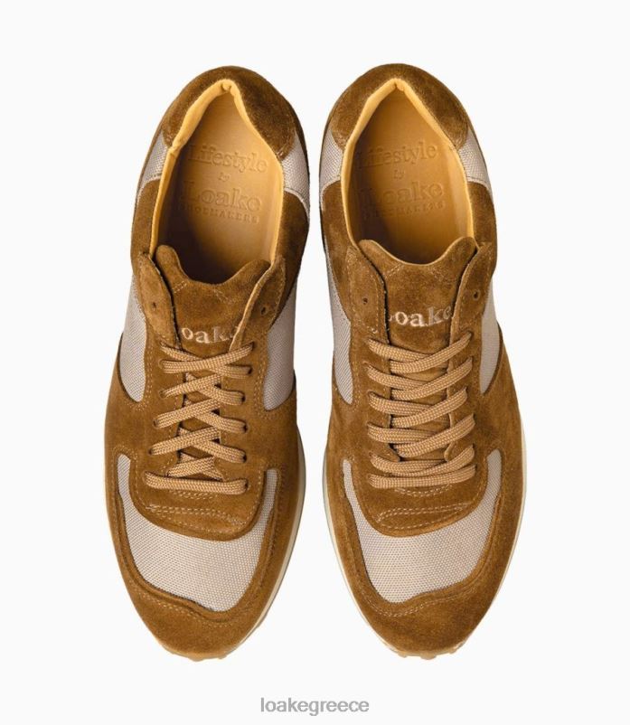 Loake θετός αθλητικά παπούτσια και αθλητικά παπούτσια μαύρισμα σουέτ PVBJP35